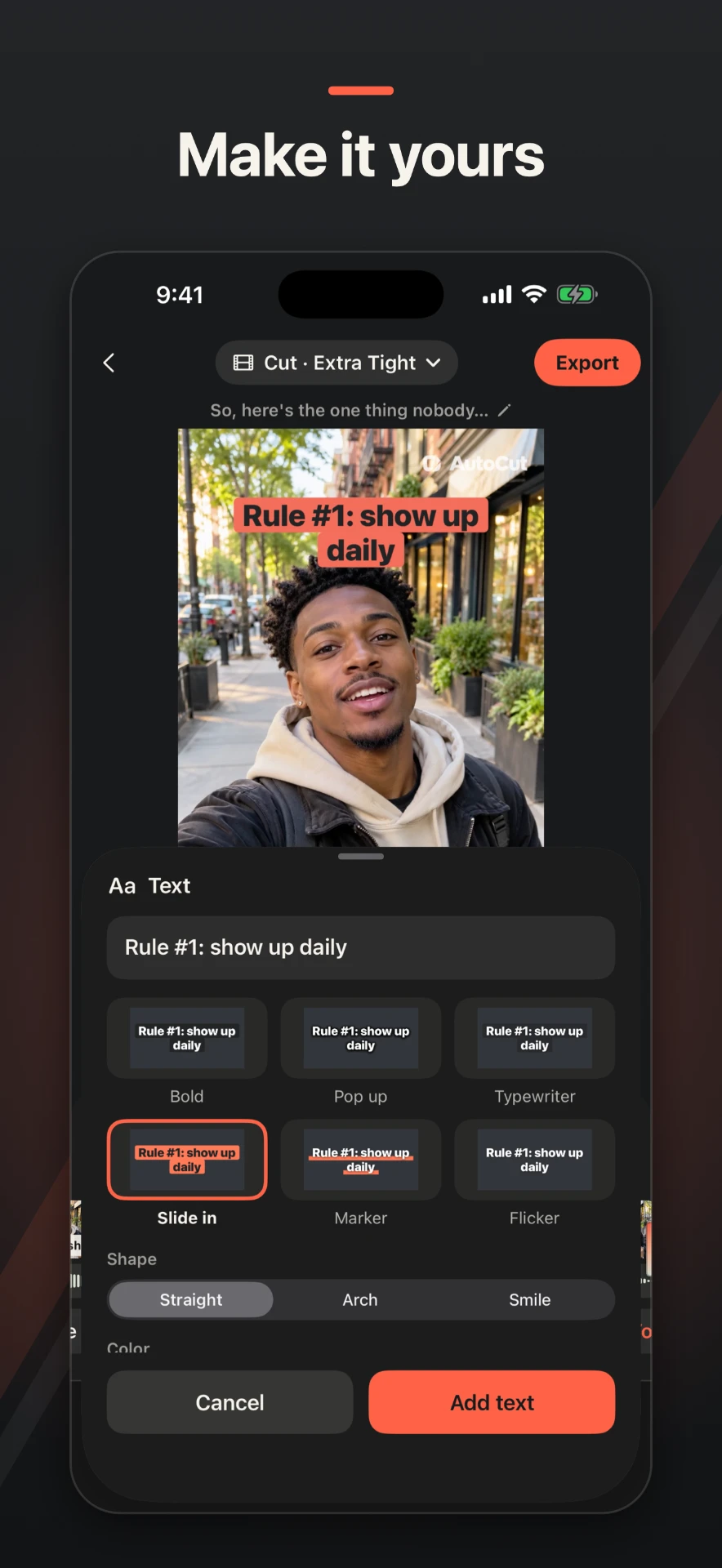 Text styles in AutoCut